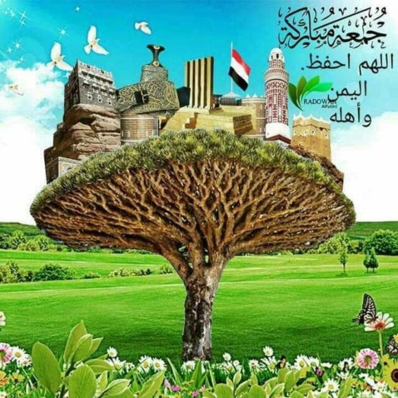 Meet your Posher, Fathi - Picture 1 of 1